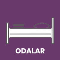 Odalar